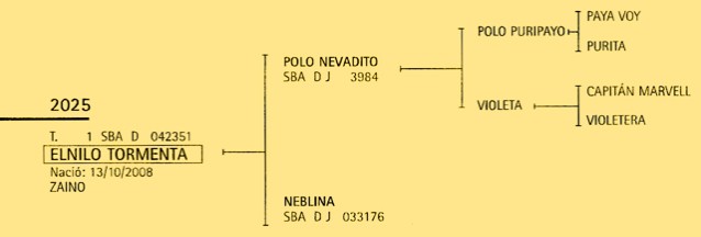 El Nilo Tormenta pedigree